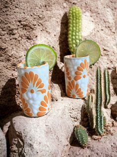 three cups with limes and two cacti on the rocks