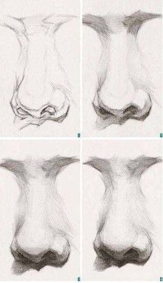 how to draw nose and nose shapes