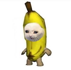 a cat in a banana costume is shown with the face of a cat on it