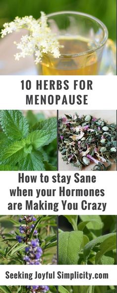 Ancient Remedies, Common Knowledge, Deep Healing, Stay Sane, Natural Health Remedies, Healing Herbs, Natural Home Remedies, Medicinal Herbs