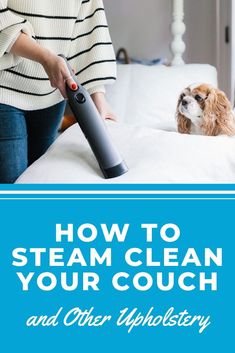 a woman vacuuming her dog on the bed with text overlay that reads how to steam clean your couch and other apotherry