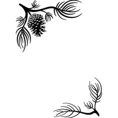 a black and white drawing of a branch with pinecone on it's tip