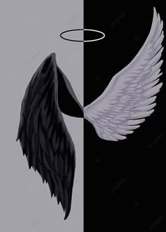 an angel wing is shown in two different colors