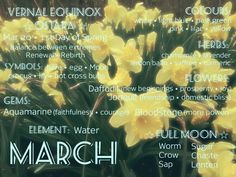 the words march written in different languages on a background of yellow daffodils