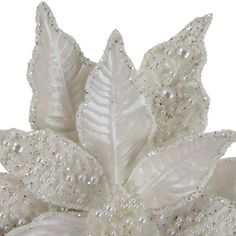 a white flower with lots of pearls on it