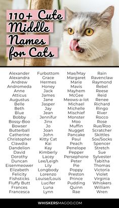 a cat with its mouth open and the words 101 cute middle names for cats on it