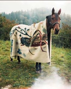 a horse wrapped in a blanket standing on top of a lush green field