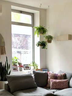 a living room filled with lots of plants next to a window