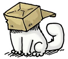 a cat with a box on its head