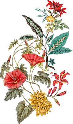 a drawing of flowers and leaves on a white background