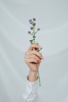 a woman holding a flower in her hand with both hands on the end of it