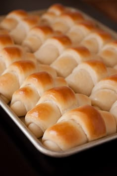 freshly baked bread rolls in a baking pan