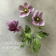 three purple flowers with green leaves on a gray background text reads crepe paper anemone