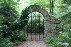 an iron gate in the middle of a lush green forest