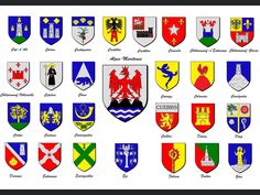 an image of many different colored shields with names and symbols on them, all in various colors