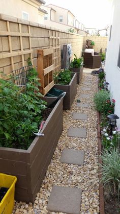 an outdoor garden area with various plants and graveled path leading to the back door