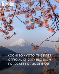 Plan to catch Japan’s iconic cherry blossoms this year? The Japanese Meteorological Corporation (JMC) has just released its first forecast for the 2025 sakura season, which tells you when the much-anticipated flowers will bloom. Read more at the link in bio. 🔗

✏️: @navyavermaa
📷: Japan Meteorological Corporation