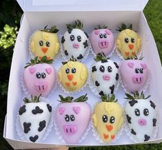 a box filled with chocolate covered strawberries in the shape of farm animals