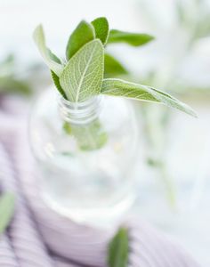 a small glass vase filled with leaves on top of a purple and white table cloth