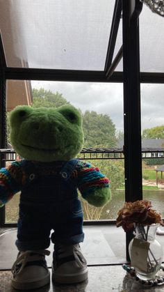 a stuffed frog sitting on top of a counter next to a window