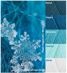 an image of snowflakes in blue and green colors with text that reads winter special dk