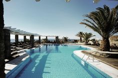 an empty swimming pool surrounded by palm trees