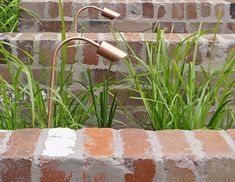 an old faucet in the middle of some brick steps with grass growing out of it