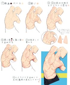 an image of the muscles and their functions