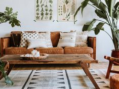 a living room filled with furniture and plants