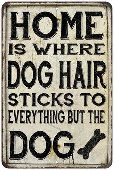 a sign that says, home is where dog hair sticks to everything but the dog