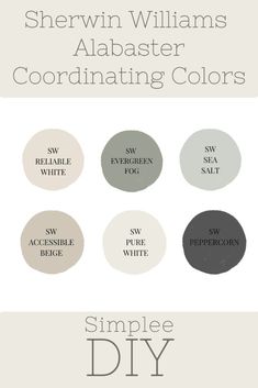 sheryln williams's color scheme for coordinating colors