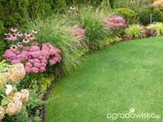 a garden with lots of flowers and grass