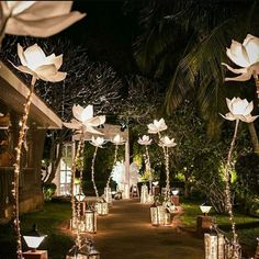 an outdoor area with lanterns and lights on the ground, surrounded by palm trees at night