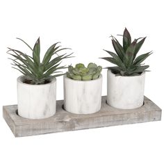 three cement planters with succulents in them