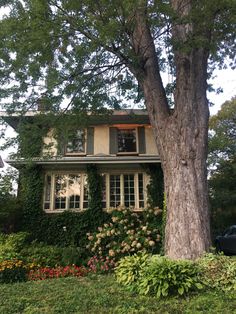 a house covered in vines and flowers next to a tree with a car parked on the side