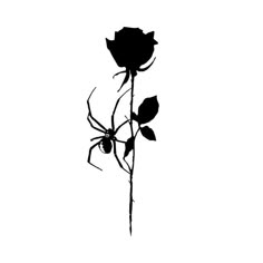 a black and white photo of a rose with spider on it's back side