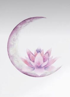 a pink lotus flower sitting on top of a crescent moon