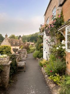 an alley way with lots of flowers growing on the side of it and houses in the background