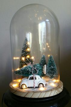 a car under a glass dome with christmas trees in the bottom and lights on top