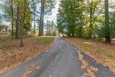 an empty road in the middle of a wooded area