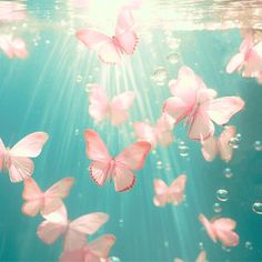 many pink butterflies floating in the water with bubbles on it's sides and sunlight shining through them