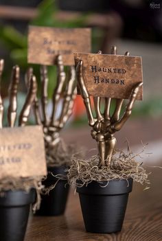 there are some fake skeleton hands in the potted plants with name tags on them