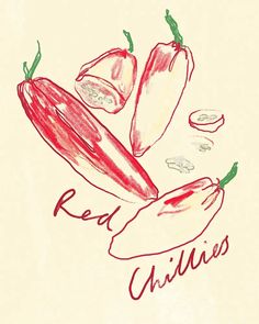 a drawing of red chilis on a white background