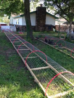 an image of chicken coops in the yard with red wire on them and trees