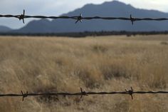 a barbed wire fence with mountains in the background and grass on both sides