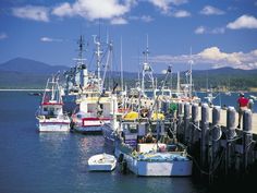 several boats are docked in the water near a pier