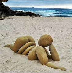 a large rock laying on top of a sandy beach