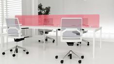 an office desk with three chairs and a pink divider in the middle, along with a potted plant