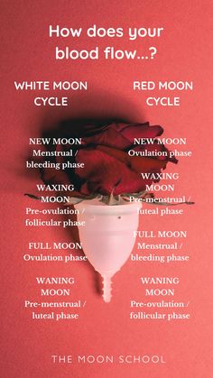 a poster with the words how does your blood flow? and red moon cycle on it