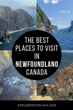 the best places to visit in newfoundland canada